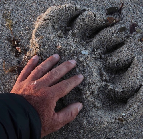 6 Fighting Extinction Education Campaign